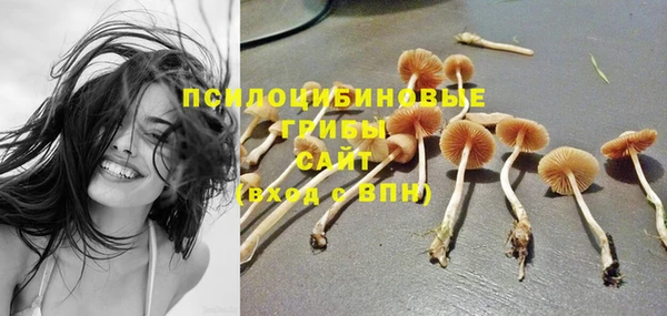 прущие крисы Красноперекопск