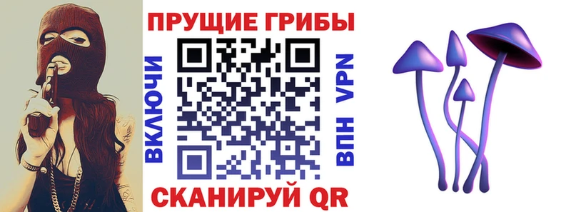 продажа наркотиков  Кинешма  Галлюциногенные грибы прущие грибы 