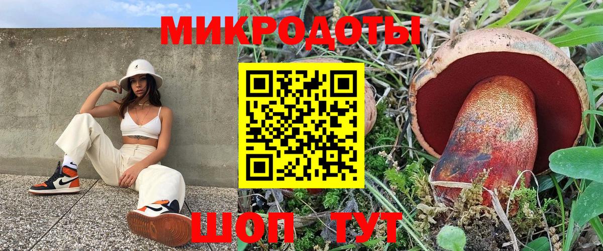 закладки  Вход с VPN  Галлюциногенные грибы Psilocybe  Кинешма  Галлюциногенные грибы GOLDEN TEACHER 